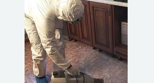 Уничтожение тараканов в квартире. Саранск